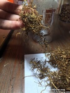 Mua Thuốc Lào HCM – Chất lượng cao, hương vị truyền thống