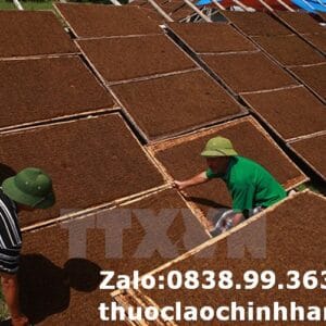 Thuốc Lào Xóm Mới Sài Gòn - TPHCM