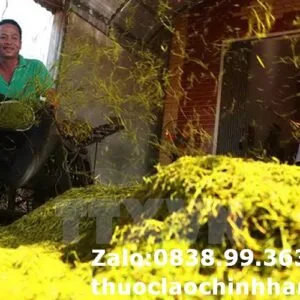 Thuốc lào Hải Phòng loại êm (1 lạng)