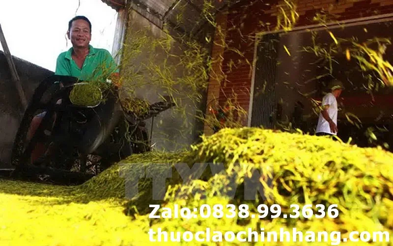 Thuốc lào Hải Phòng loại êm (1 lạng)