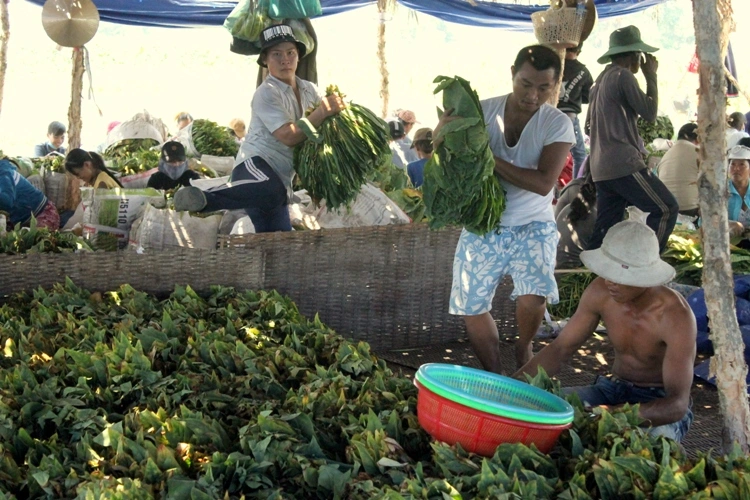 Thuốc Lào Xóm Mới Sài Gòn - TPHCM