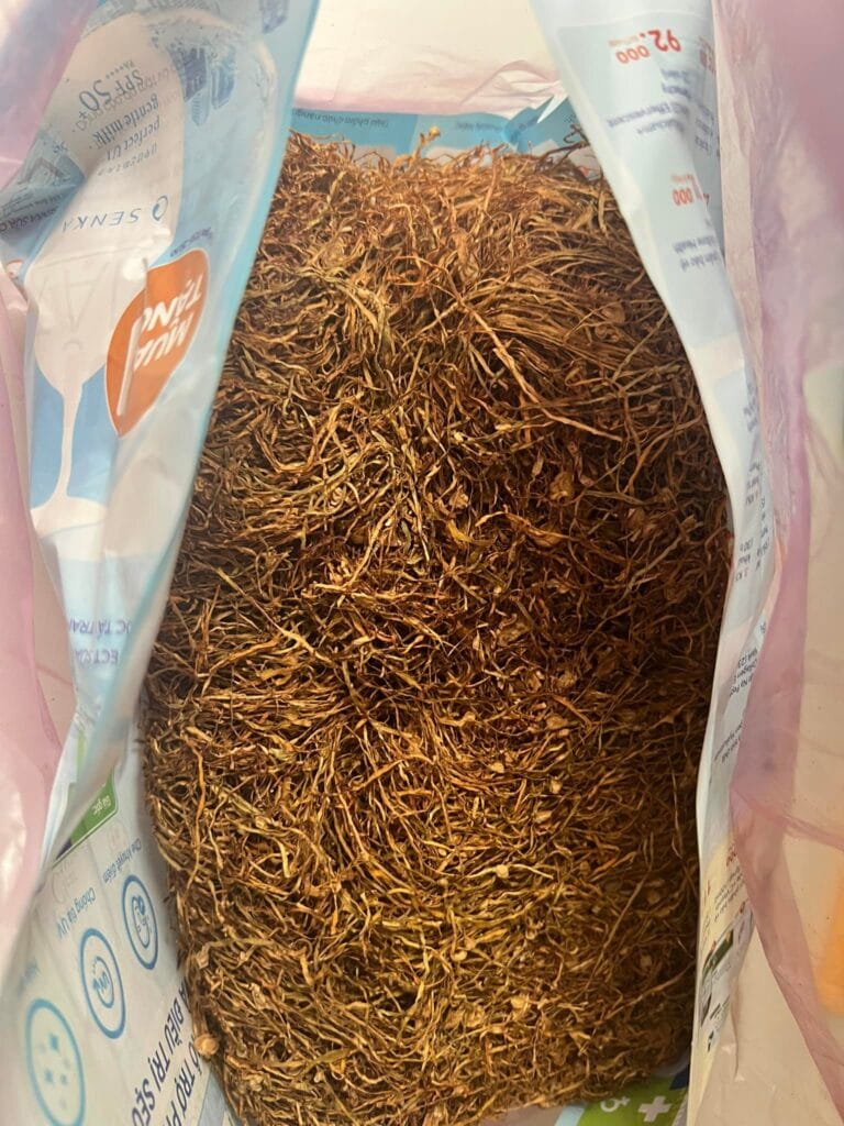 Trải Nghiệm Thuốc Lào Sài Gòn