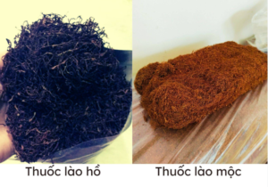 Thuốc lào mộc là gì? Phân biệt thuốc lào mộc và thuốc lào “hồ ” tẩm