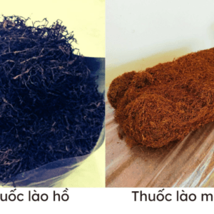 Thuốc lào mộc là gì? Phân biệt thuốc lào mộc và thuốc lào “hồ ” tẩm