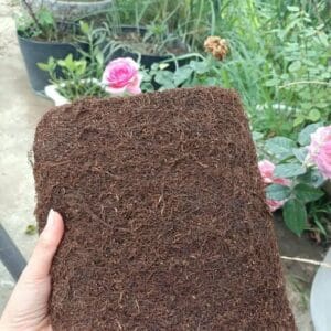 Thuốc Lào Nam Đế - Đặc Sản Tiên Lãng Hải Phòng