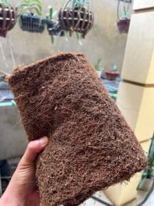 Thuốc lào hàng tuyển khác gì với thuốc lào thông thường?