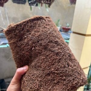 Thuốc Lào Long Đế - Tuyệt Phẩm Tinh Hoa Từ Tiên Lãng, Hải Phòng
