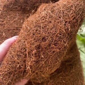 Thuốc Lào Long Đế - Tuyệt Phẩm Tinh Hoa Từ Tiên Lãng, Hải Phòng