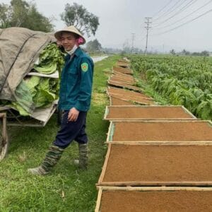 Thuốc Lào Nam Đế - Đặc Sản Tiên Lãng Hải Phòng