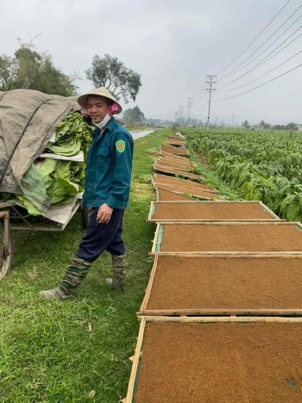 Thuốc Lào Nam Đế - Đặc Sản Tiên Lãng Hải Phòng