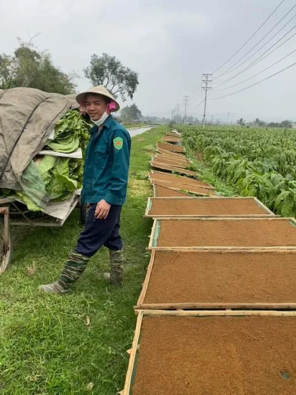 Thuốc Lào Nam Đế - Đặc Sản Tiên Lãng Hải Phòng