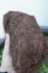 So Sánh Thuốc Lào Thanh Hóa Và Hải Phòng