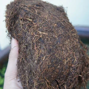 Thuốc Lào Con Gà - Hương Vị Đặc Trưng Của Thuốc Lào Truyền Thống