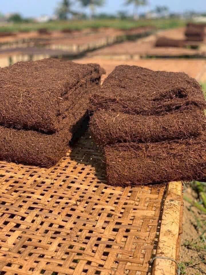 thưởng thức thuốc lào Kỳ Anh Hà Tĩnh đầm khói