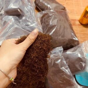 Thuốc Lào Gói Mộc Truyền Thống