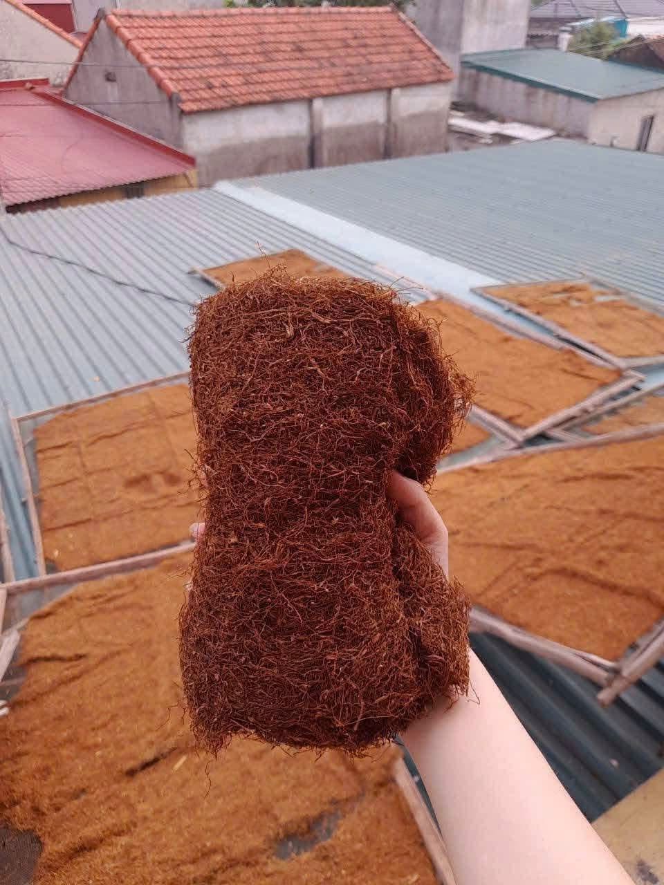 chế biến thuốc lào Hoằng Hóa Thanh Hóa thủ công