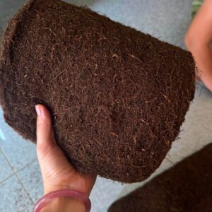Thuốc Lào Quảng Chính Quảng Xương Thanh Hóa Hàng Mộc Chuẩn Vị
