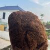 Thuốc Lào Đồng Tôm Thượng Hạng Loại 1 Thuốc Lào Đồng Tôm Thượng Hạng Loại 1