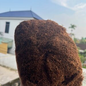 Thuốc Lào Đồng Tôm Thượng Hạng Loại 1