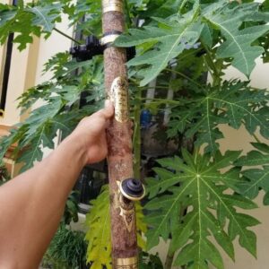 Điếu Cày Quế Yên Bái Nguyên Vỏ Bọc Đồng Thơm Tự Nhiên Chính Hãng